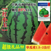 【Необходимость в маленькой красной нефрите】 Оригинальные 100 капсул