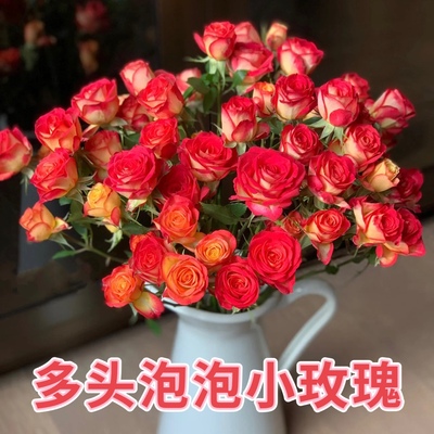 鲜切花花材家养泡泡玫瑰鲜花