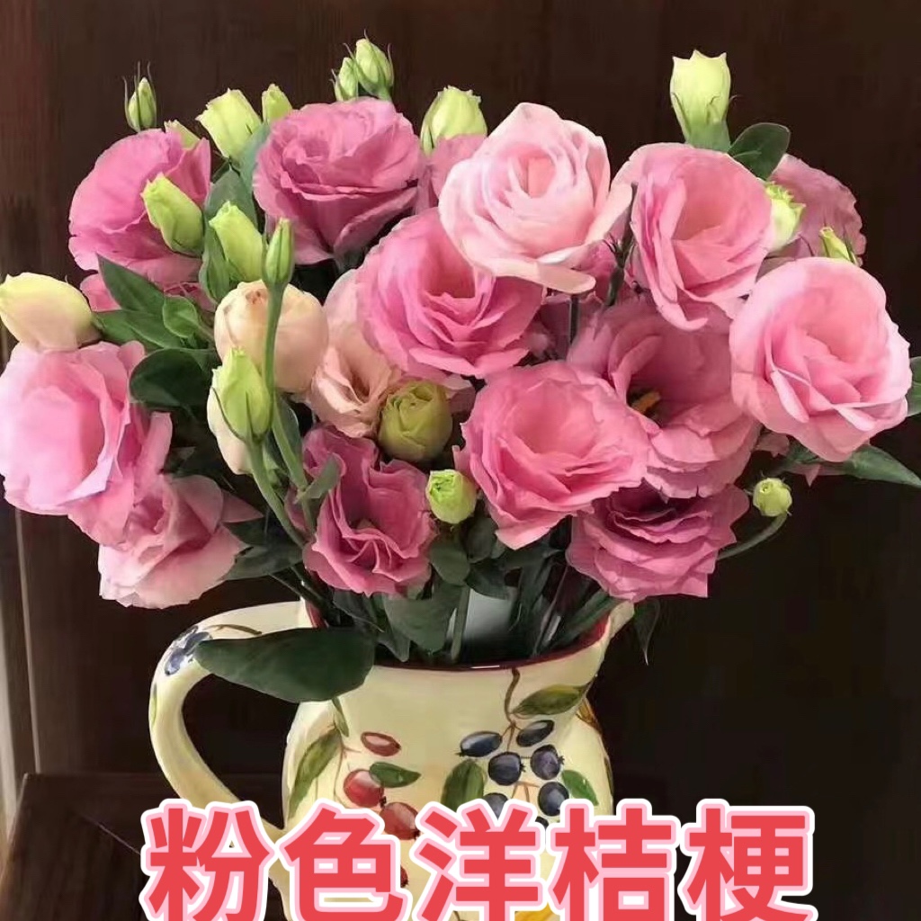 云南昆明鲜花花束斗南直发洋桔梗