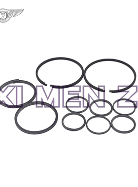 6HP919 6HP21 09L 自动变速器油环包 适用于大众奥迪