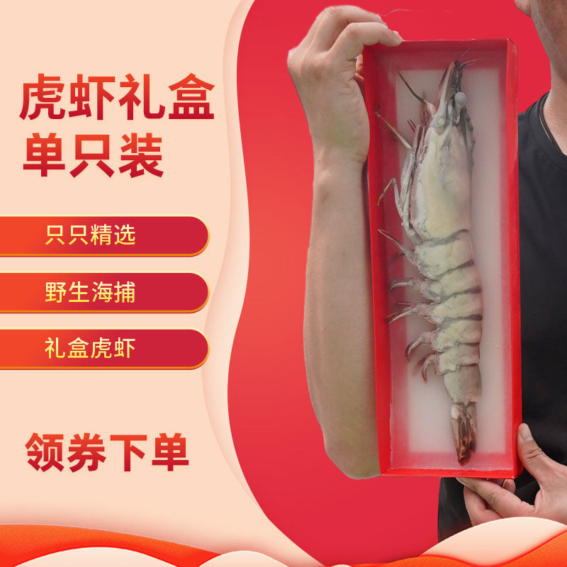 单只礼盒   超大黑虎虾 新鲜海鲜水产鲜活冷冻特大巨型虎虾 钳子