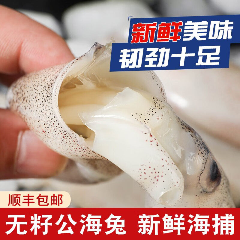 新鲜速冻笔管鱼无籽公海兔 鲜嫩海捕海兔小管鱿鱼 净重450克/包x4 - 实物图