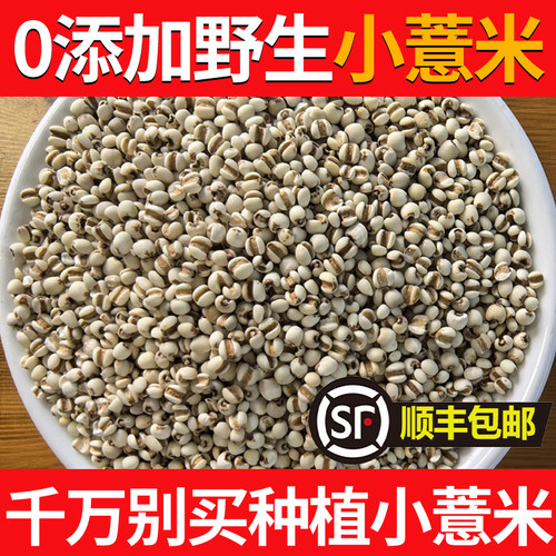 老洪富硒纯野生小薏米薏苡仁中药材500g新货无硫包邮茯苓芡实薏仁