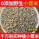 老洪富硒纯野生小薏米薏苡仁中药材500g新货无硫 包邮 茯苓芡实薏仁