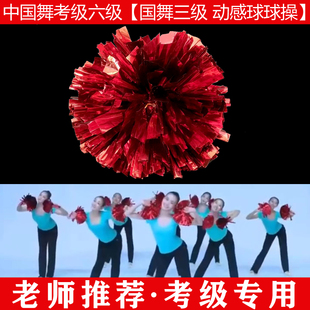 文旅部人才中心中国舞艺术考级第三级动感球球操舞蹈道具手球一对
