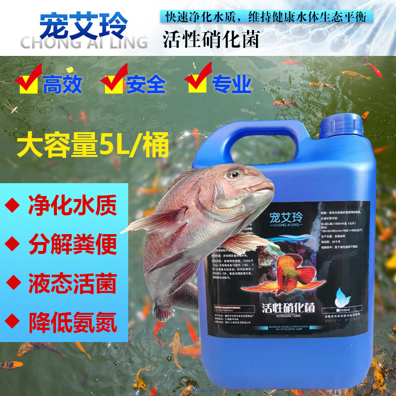 包邮硝化细菌鱼池5L缸淡水养鱼用品水质净化剂水族消鱼药稳定水剂