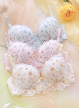 日本2型圆盘胸Risa Magli正品聚拢文胸少女内衣中大钢圈中鸡心254