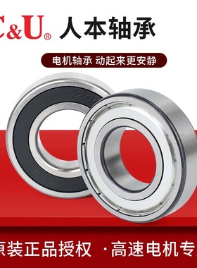 人本轴承正品6016 6017 6018 6019 6020 6021 6022 6024RZ/P5高速