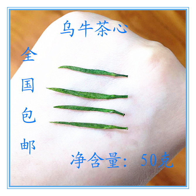 乌牛茶心2026年新茶高端好茶永嘉早茶乌牛早茶高山银针茶玉针
