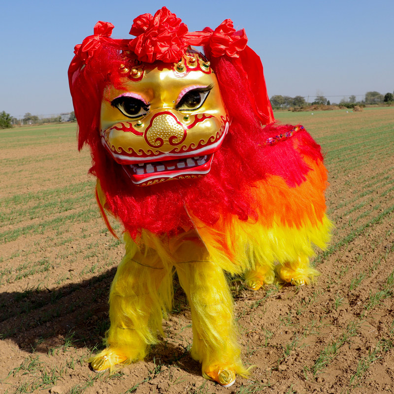 舞龙舞狮道具整套单人双人笑脸北京狮子正宗高档北狮子头全套服装_虎窝淘
