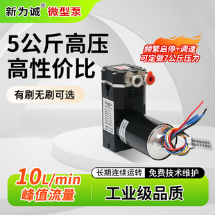 新为诚活塞微型正压泵真空泵24V隔膜泵F40小型气体增压泵打气泵