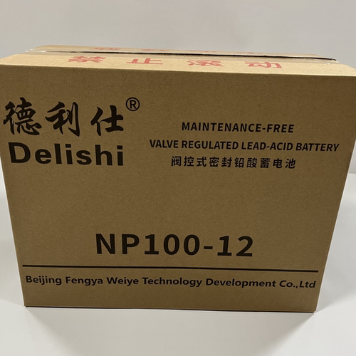 德利仕NP100-12 12V 100AH蓄电池 UPS电源蓄电池 铅酸免维护