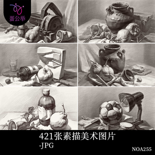 素描静物超强体系单体组合静物素描塑造铺色结构完整稿电子版临摹