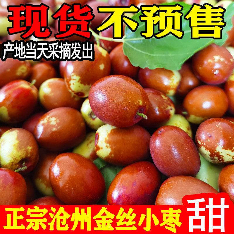 正宗金丝小枣特级鲜枣沧州特产河北果园现摘现发孕妇脆甜新鲜水果