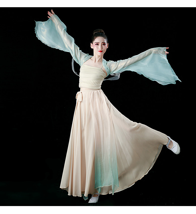 中国舞舞蹈服女古风身韵纱衣练功服飘逸话剧古典舞表演服装成人