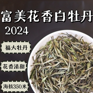 2024富美花香白牡丹 政和白茶 花香清甜 福大牡丹 华茶3号