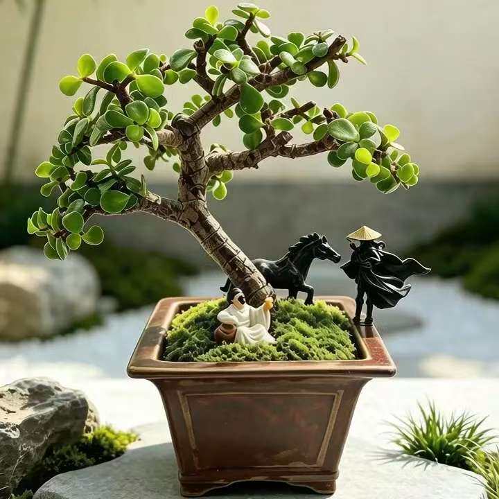 微盆景打工人治愈书桌茶台氛围感