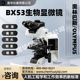 Olympus 奥林巴斯BX53正置专业生物显微镜可加荧光明暗场偏光相差