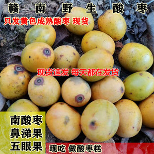 野生酸枣鼻涕果新鲜五眼果现摘现发南酸枣黄酸枣孕妇酸枣酸枣糕