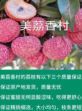 正宗香山鸡嘴荔枝蜜甜无酸涩味