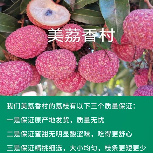 正宗香山鸡嘴荔枝蜜甜无酸涩味