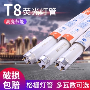 普通日光灯管家用传统格栅灯长条灯18W36W 佛山照明T8荧光灯管老式