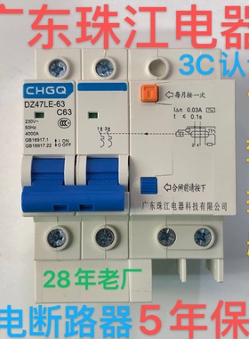 广东珠江漏电保护器双DZ47LE升级款家用总开2P63A空气开关断路器