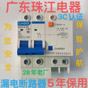 家用总开2P63A空气开关断 新款 广东珠江漏电保护器双DZ47LE升级款