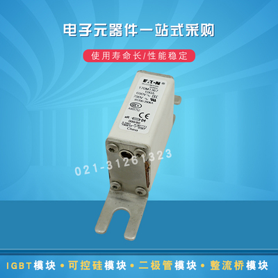 伊顿快速熔断器保险丝