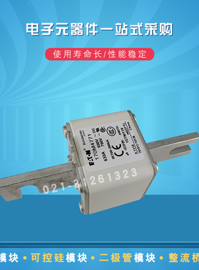 170M4760 4761 4762 4763 4764 4765 4766 4767快速熔断器保险丝