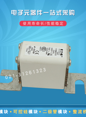 伊顿快速熔断器保险丝170M2032 2033 2034 2035 2036 2037 2038现