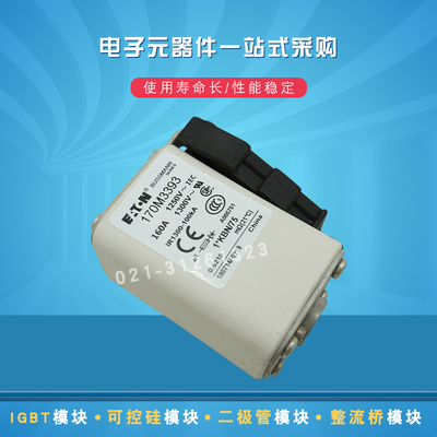 快速熔断器保险丝170M3509 3510 3511 3512 3513 3514 3515 3516