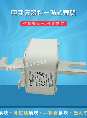 伊顿快速熔断器170M6062 6063 6064 6065 6066 6067 6068 6069新