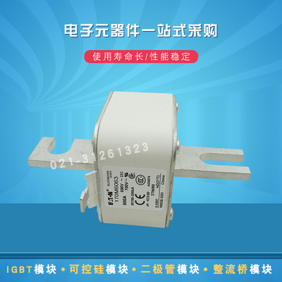 伊顿快速熔断器170M6062 6063 6064 6065 6066 6067 6068 6069新