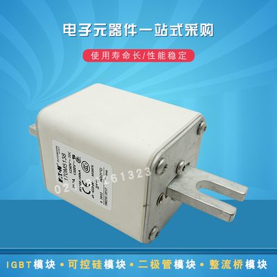 伊顿巴斯曼熔断器170M5117 5118 5119 5138 5139 5140 5141 5142