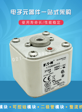快速熔断器保险丝170M4411 4412 4413 4414 4415 4416 4417  4418