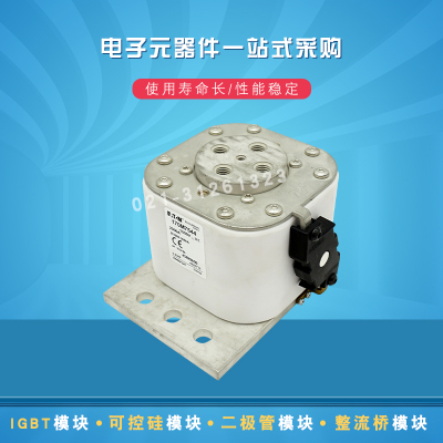 全新原熔断器保险丝170M7544 7546 7548 7549 7552 7553 7567现货