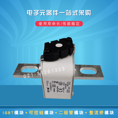 170M6671 6681 6688 6689 6690 6691 6692 6693快速熔断器保险丝