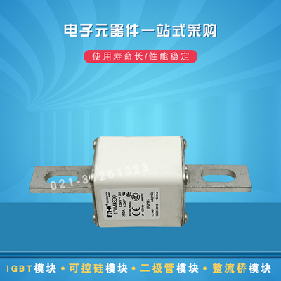巴斯曼熔断器保险丝170M4690 4691 4692 4693 4694 4695 4696全新