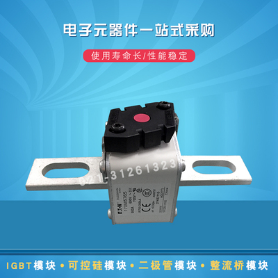 全新原装熔断器170M5764 5765 5766 5768 5767 5775 5776 5804