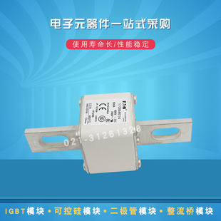 快速熔断器保险丝170M4615 4616 4617 4618 4619 4656 4659 4658