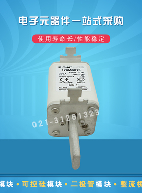 快速熔断器保险丝170M3818 3819 3901 3902 3903 3904 3905 3906