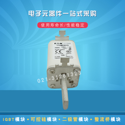 快速熔断器保险丝170M3818 3819 3901 3902 3903 3904 3905 3906