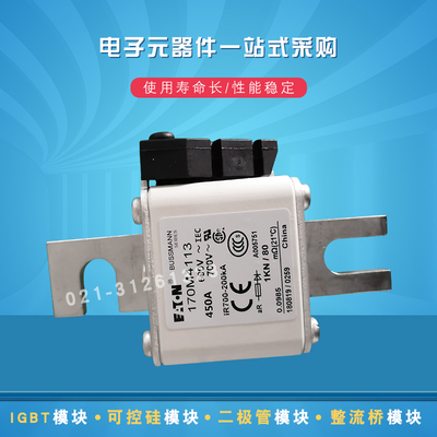 170M4058 4059 4060 4061 4062 4063 4064 4065快速熔断器保险丝