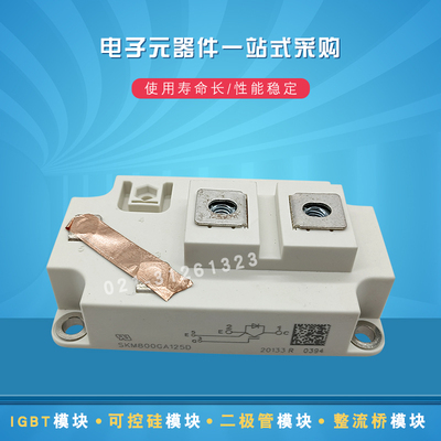 SKM800GAL176D SKM100GAL17E4 SKM200GAL17E4 全新IGBT模块
