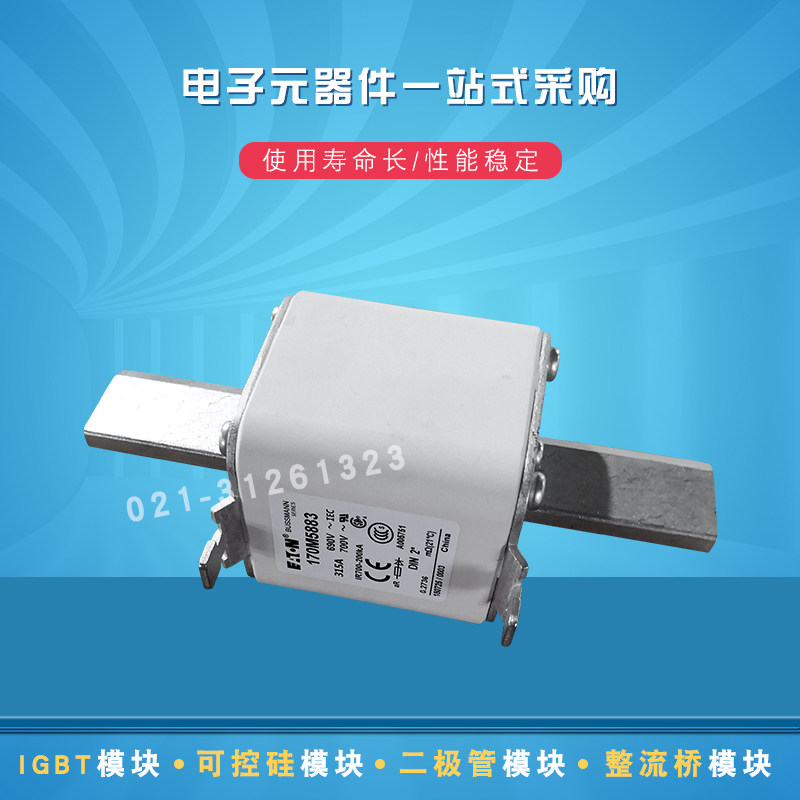巴斯曼熔断器170M5883 5884 5885 5886 5887 5888 5889 5922 5923 - 实物图