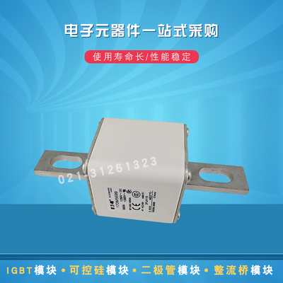 巴斯曼熔断器170M5699 5700 5708 5709 5710 5711 5712 5713 5714