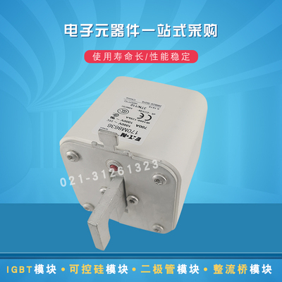 快速熔断器保险丝170M8630 8631 8632 8633 8634 8635 8636 8637
