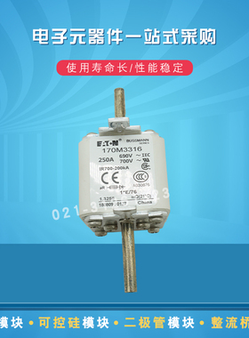 巴斯曼熔断器保险丝170M3367 3368 3369 3370 3371 3388 3389原装