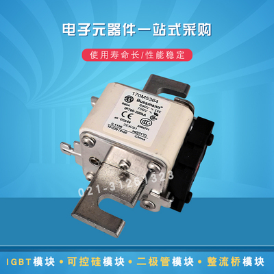 全新熔断器保险丝170M5359 5360 5361 5362 5363 5364 5365 5366